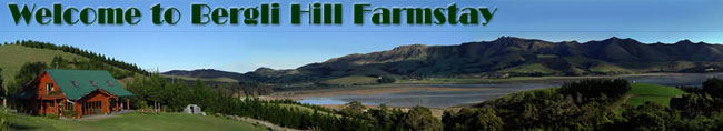 Bergli Hill Farmstay